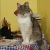 Отзыв от Эльмира Сахарова